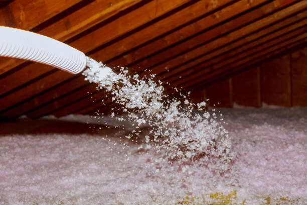 Best Types of Insulation in USA